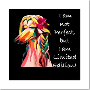 Afghan Hound Dog Portrait in Pop Art Style Posters and Art